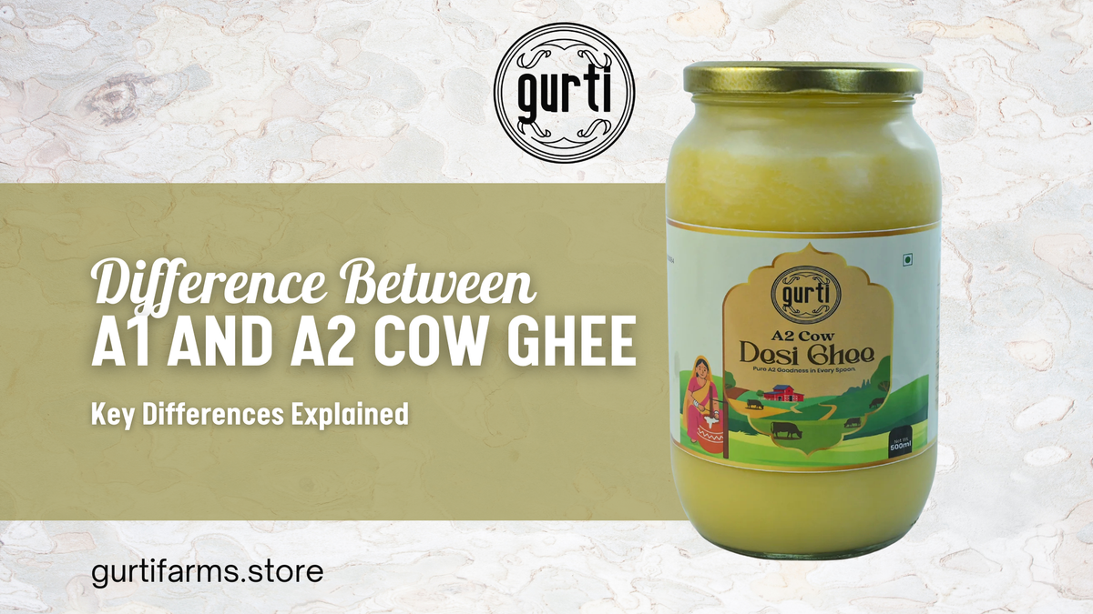 Difference Between A1 and A2 Cow Ghee Explained Simply